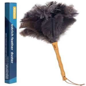 Ostrich Feather Duster